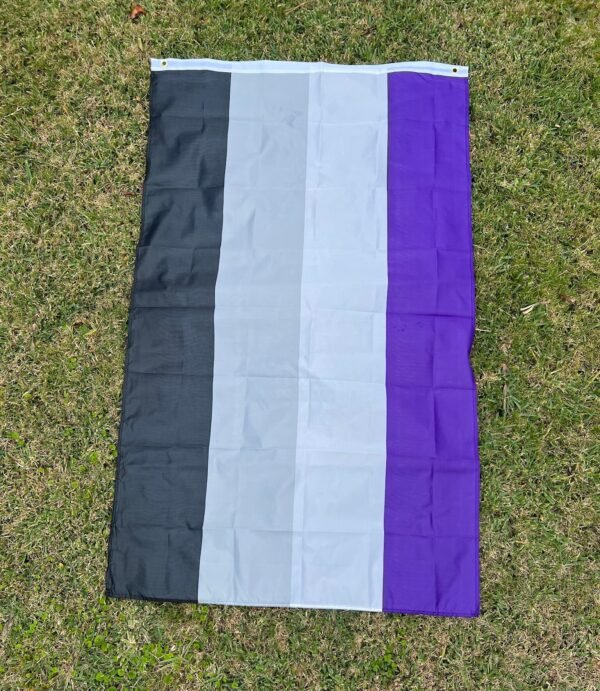 bandera-asexual