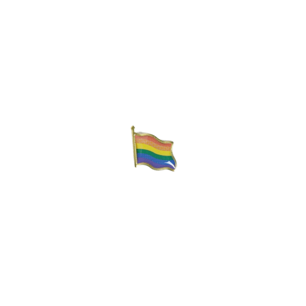 Pin banderín liso